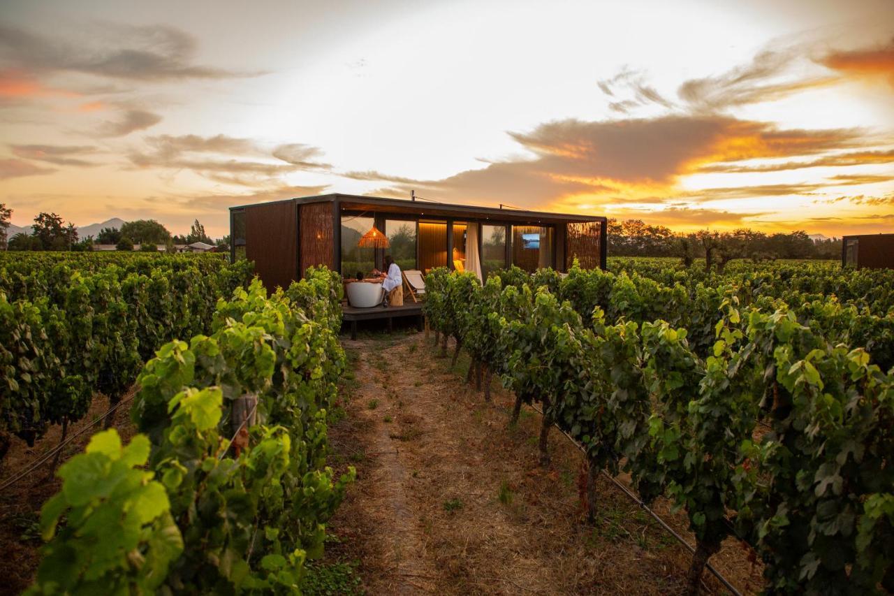 Vibo Wine Lodge At Viu Manent Santa Cruz Eksteriør bilde