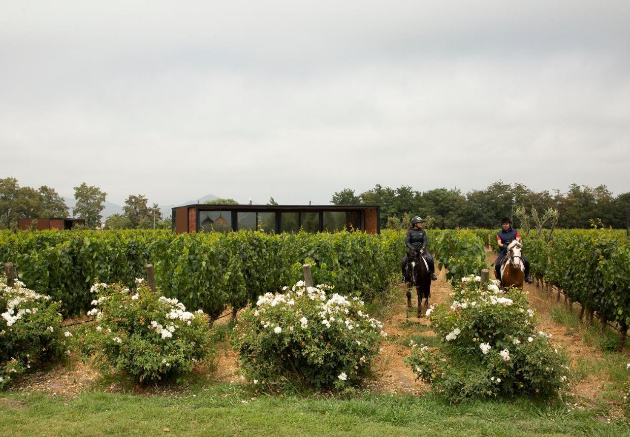 Vibo Wine Lodge At Viu Manent Santa Cruz Eksteriør bilde