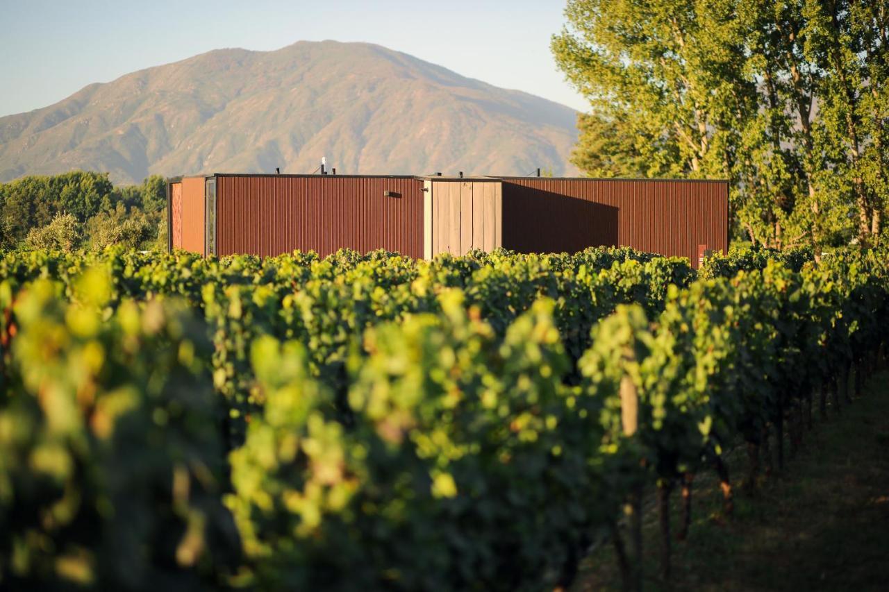 Vibo Wine Lodge At Viu Manent Santa Cruz Eksteriør bilde