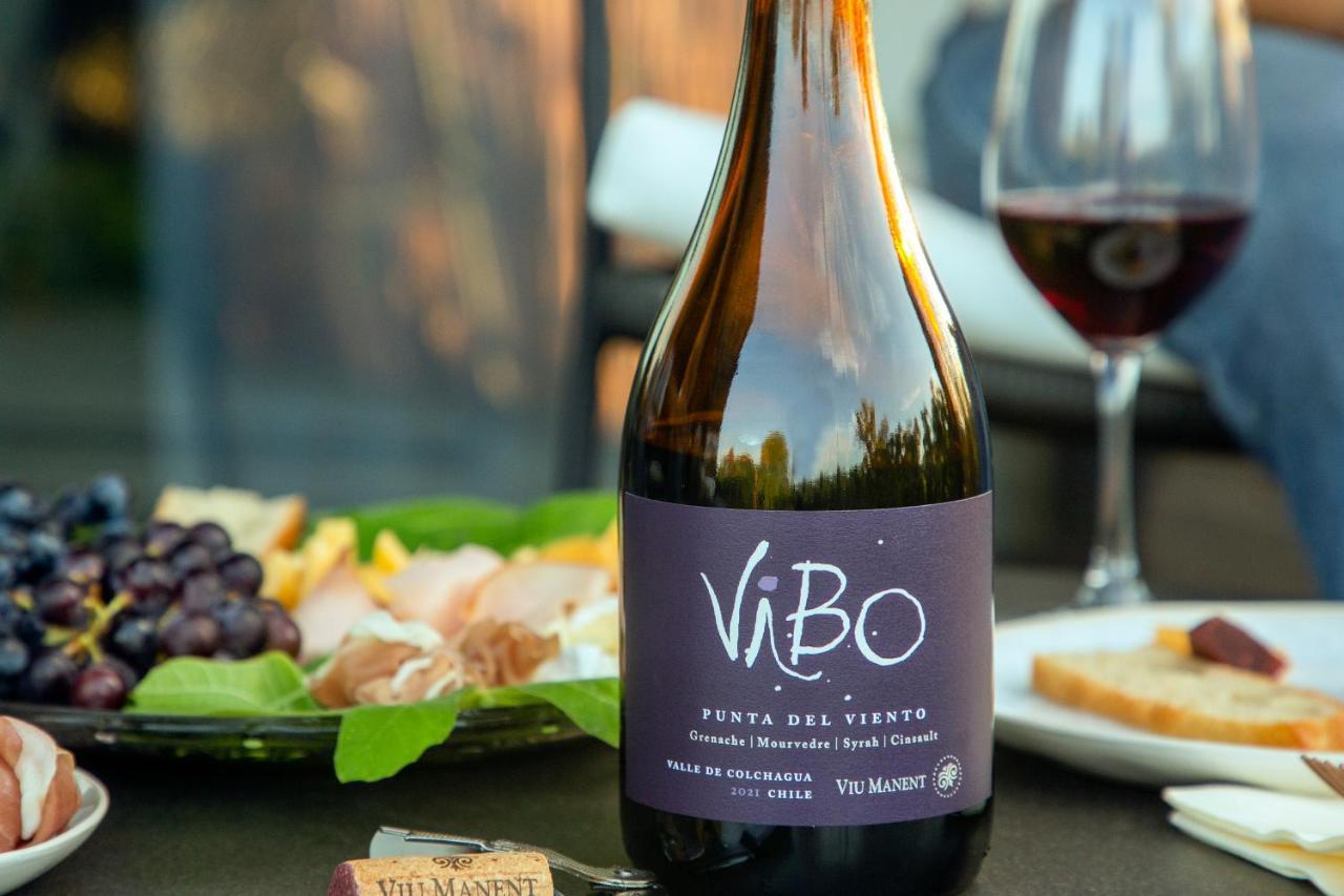 Vibo Wine Lodge At Viu Manent Santa Cruz Eksteriør bilde