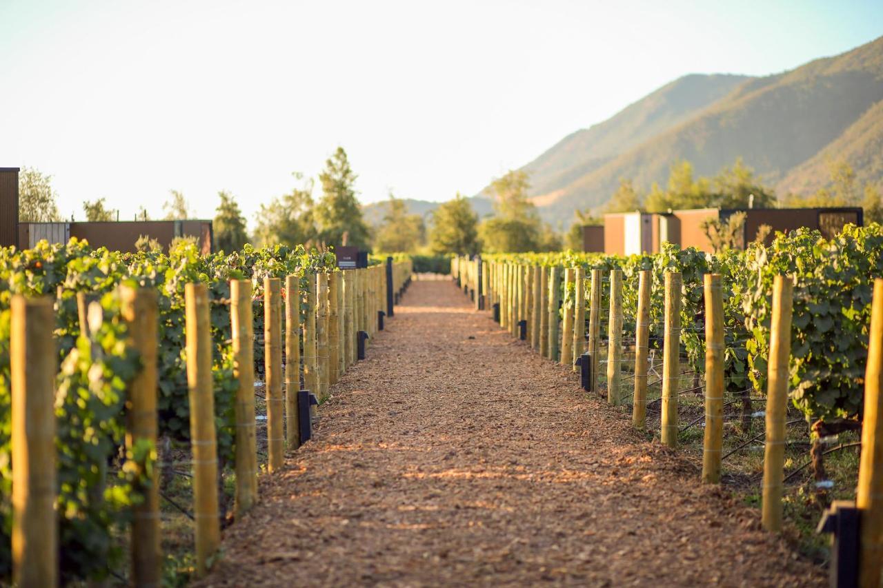 Vibo Wine Lodge At Viu Manent Santa Cruz Eksteriør bilde